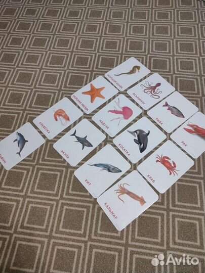 Карточки Домана новые