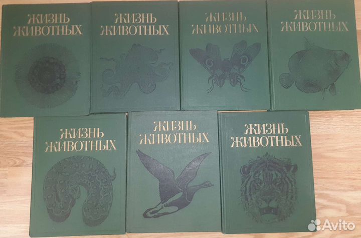 Советская энциклопедия- Жизнь животных