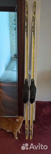 Беговые лыжи с ботинками