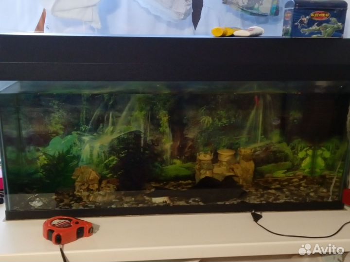 Аквариум
