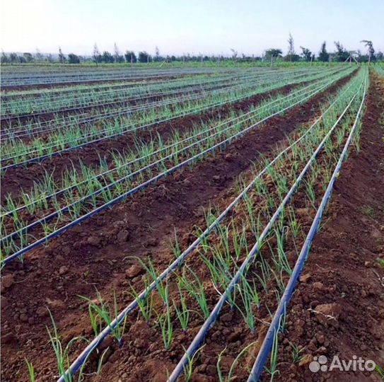 Капельная лента