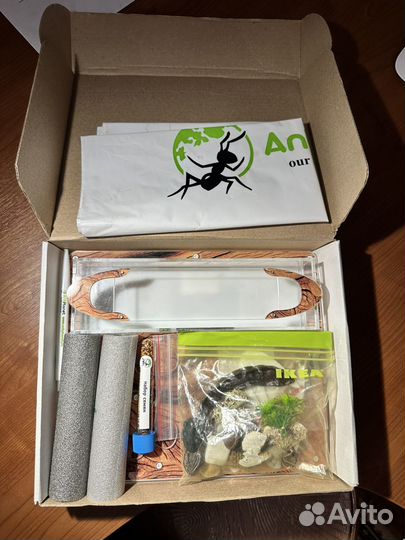 Муравьиная ферма antplanet 