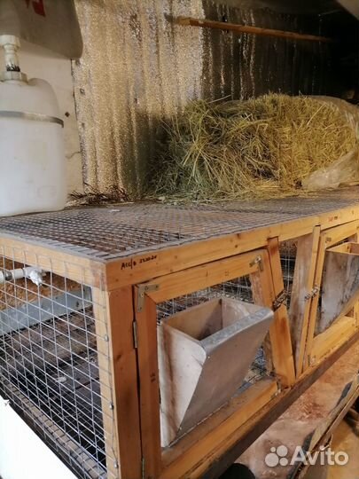 Клетки для кроликов бу
