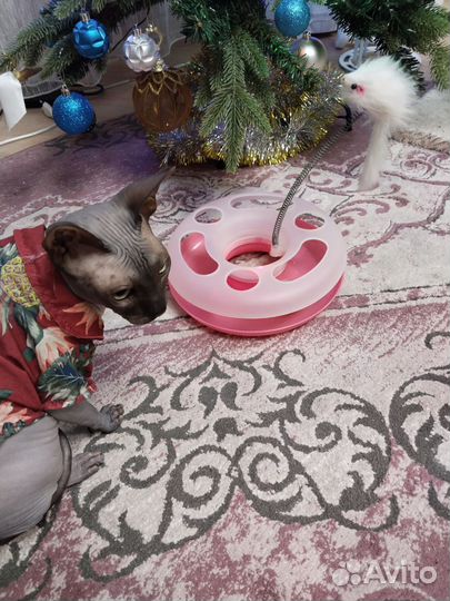 Игрушка для кошек