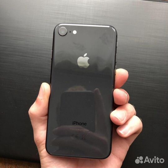 iPhone 8