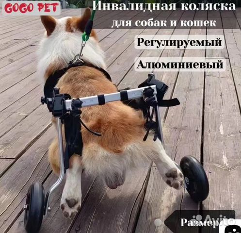 Коляски для задних лап