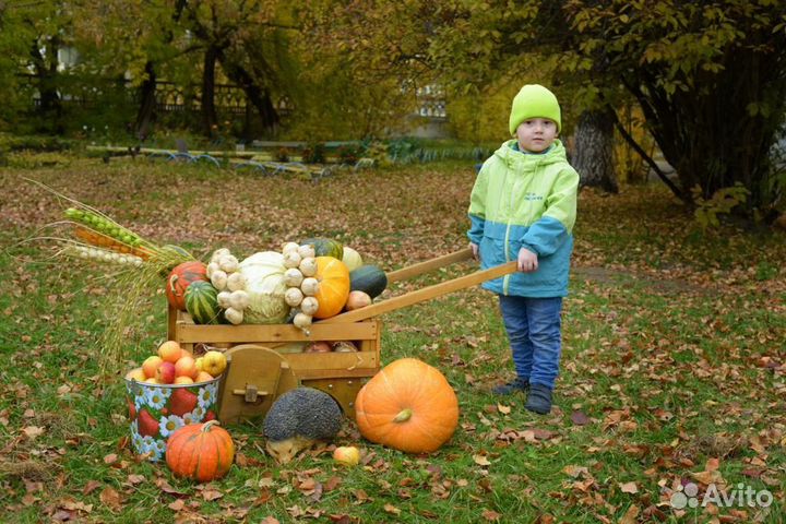Куртка и шапка для мальчика