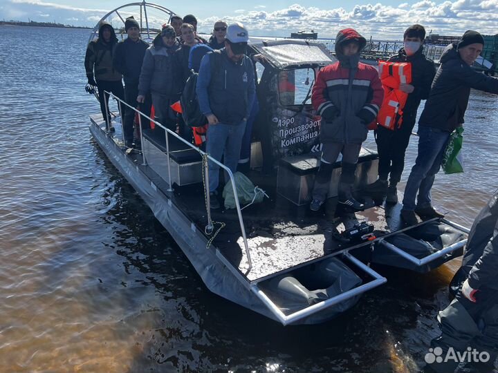 Аэроплатформа грузовая Бриз 700