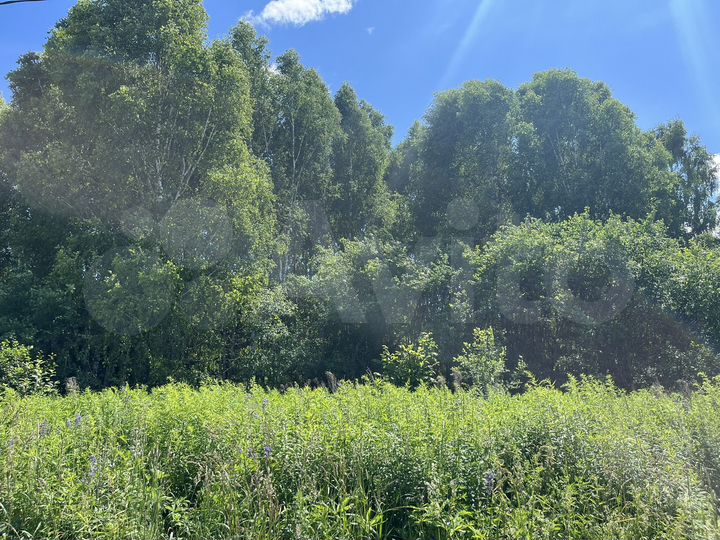 Участок 20,3 сот. (ИЖС)