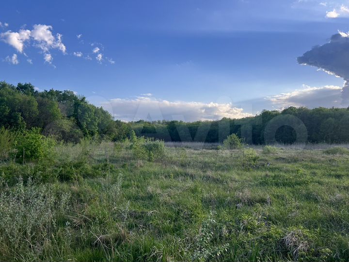 Участок 40 сот. (СНТ, ДНП)