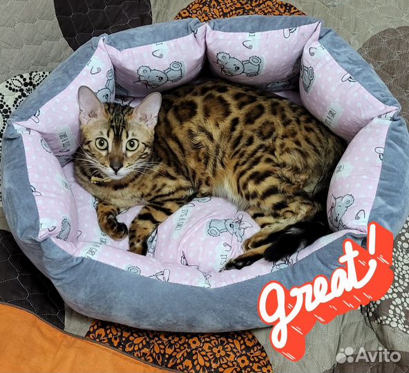 Лежанка для кошек и собак. Доставка бесплатно