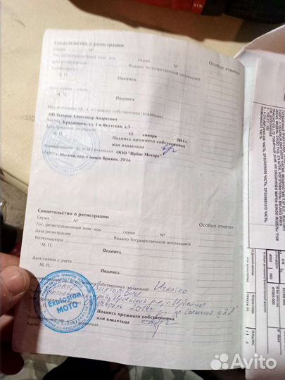 Снегоход ирбис динго т 125