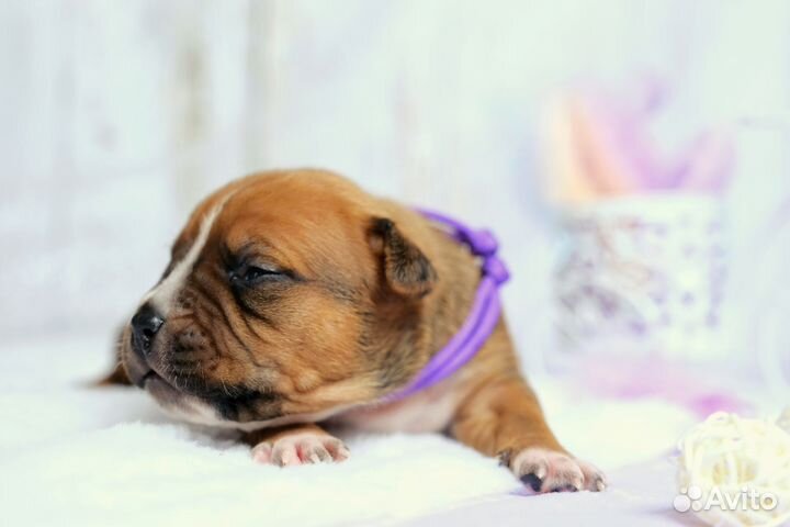 Мальчик-красавчик