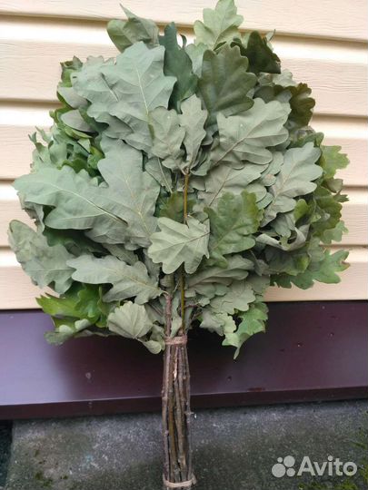 Веники для бани