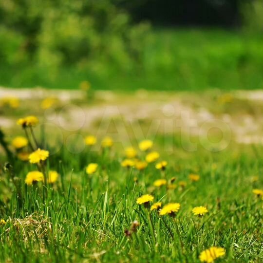 Участок 16,6 сот. (ИЖС)