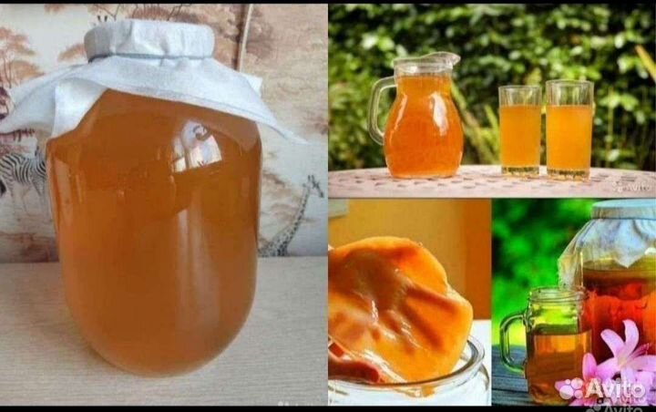 Чайный гриб.Комбуча и продукты из неë