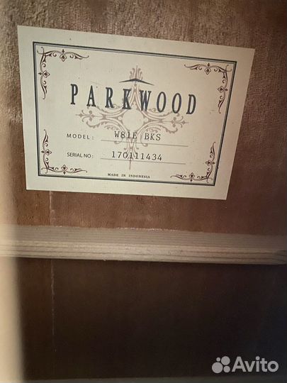 Электроакустическая гитара