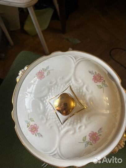 Супница чайка