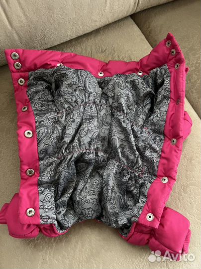 Комбинезон Королевский для маленькой собачки