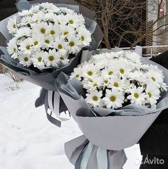 Хризантема Букет хризантем Доставка