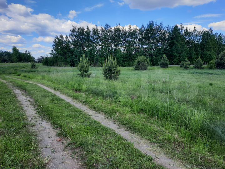 Участок 50 сот. (ИЖС)