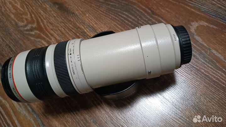 Объектив Canon EF 35-350mm 3.5-5.6 L