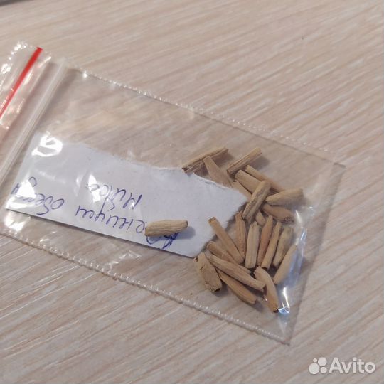 Адениум Обессум микс семена