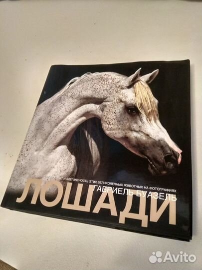Книги о лошадях и энциклопедия животных