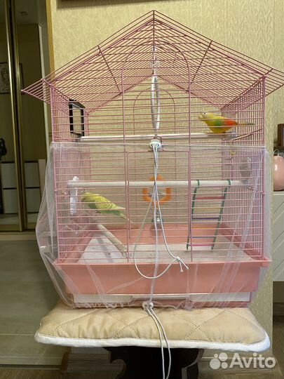 Клетка для попугая