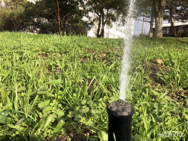 Капельный плив газона