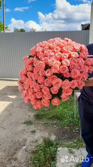 Цветы Розы Оптовая База, Автозавод