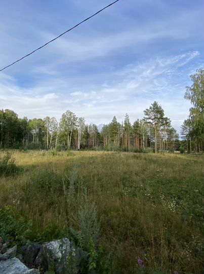 Участок 12 сот. (ИЖС)