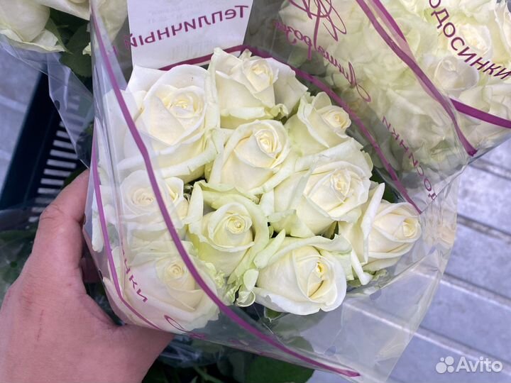 Белые розы. 25 роз. 51 роза. 101 роза