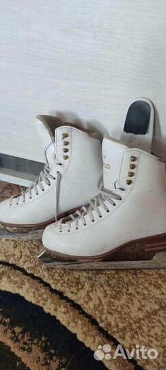 Фигурные коньки джексон elle