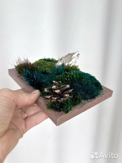 Картина, панно из стабилизированного мха