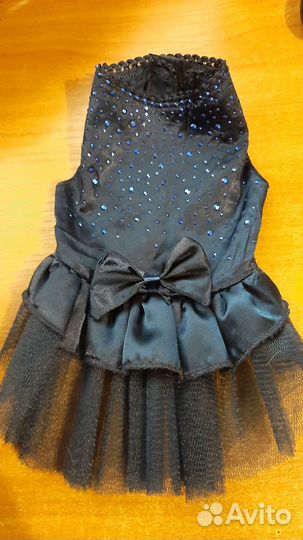 Ошейник, ринговки, поводок, одежда, сумка, цепь