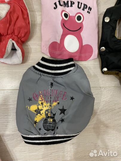 Одежда для маленьких собак s