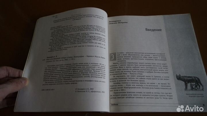 919,18 Бондарев А.Я. Волк юга Западной Сибири и Ал