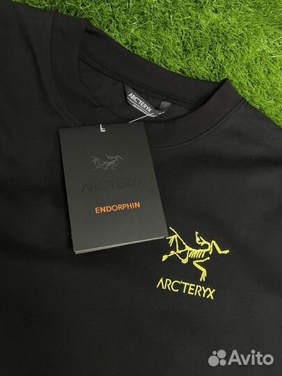 Футболка мужская Arcteryx