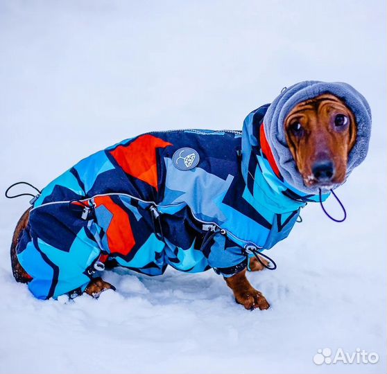 Зимний комбинезон для собаки