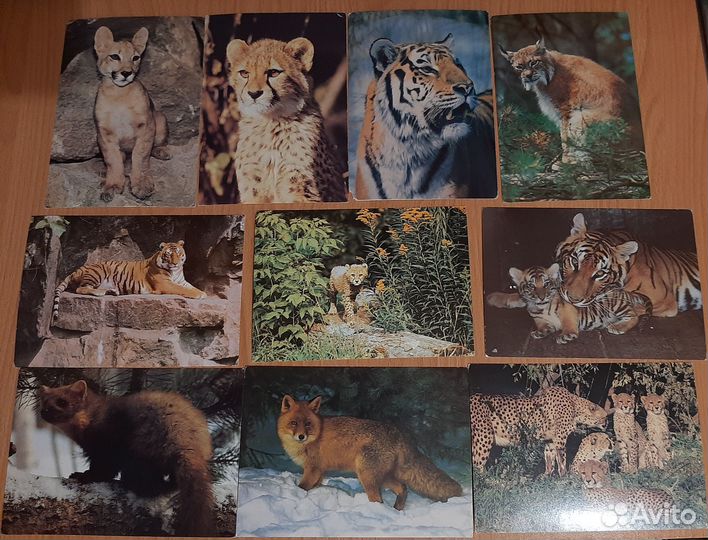 Открытки СССР с животными, птицами, бабочками