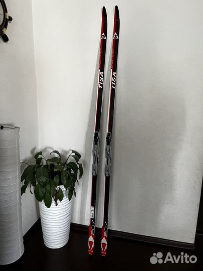 Беговые лыжи