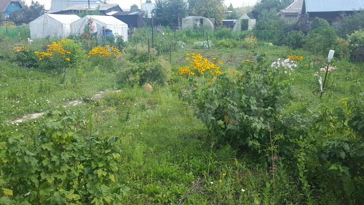 Дача 25 м² на участке 6 сот.