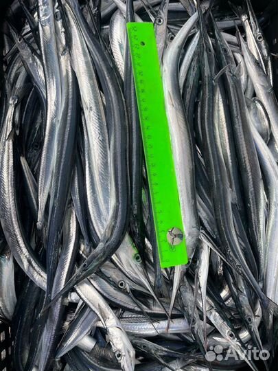 Свежая рыба