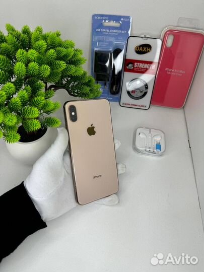 iPhone Xs Max, 256 ГБ