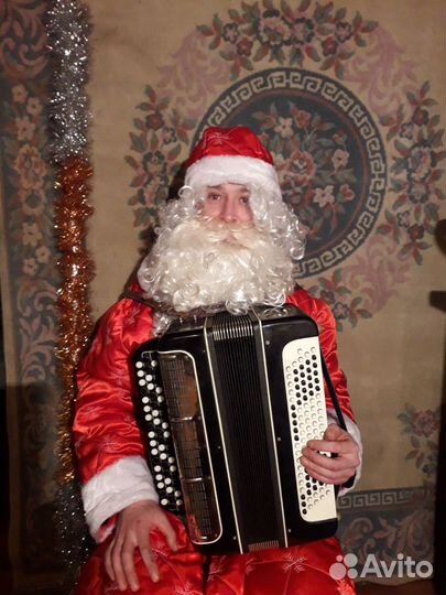 Баянист профессионал на ваш праздник