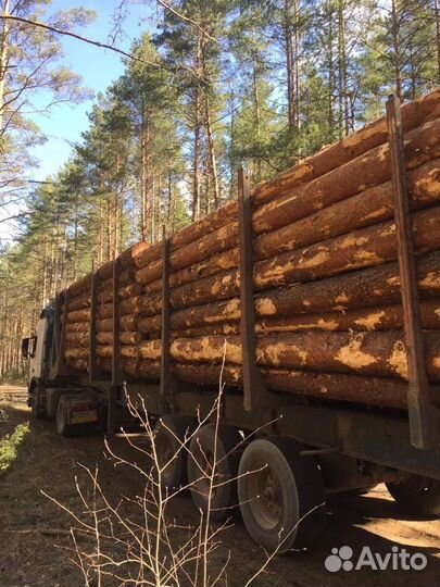 Лес кругляк строевой