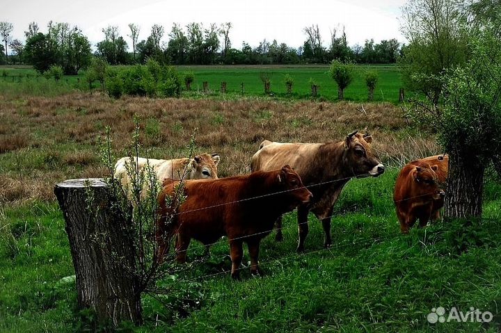 Шнур 1000 м в наличии