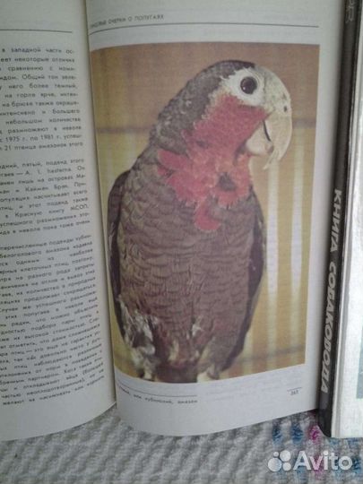 Справочные пособия, З. Фрейд