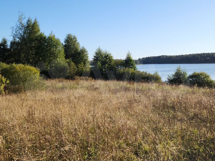 Участок 100 сот. (ИЖС)